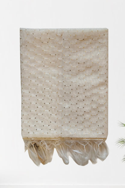 Off White Embroidered Chanderi Dupatta